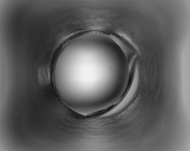 X0000088891214200706081242