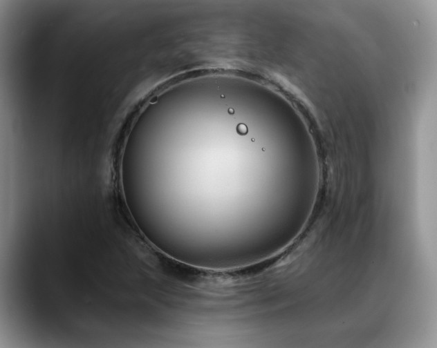 X0000088891215200706081242