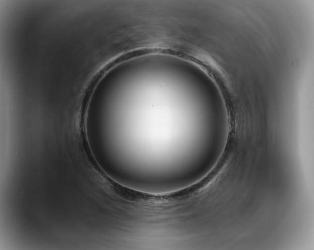 X0000088891216200706081242