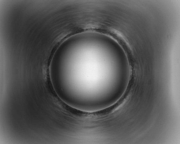 X0000088891217200706081242