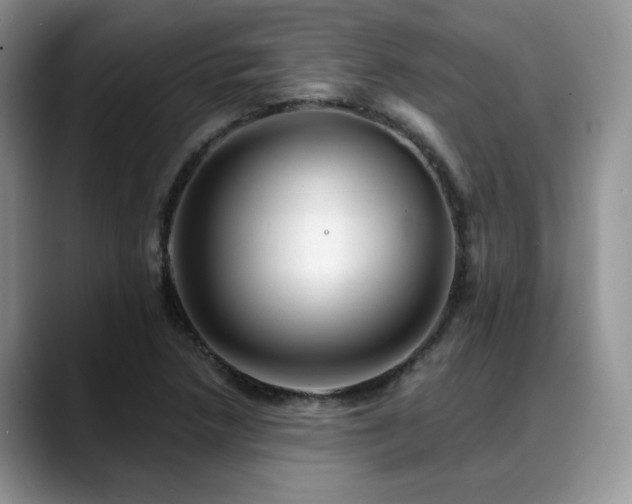 X0000088891218200706081242