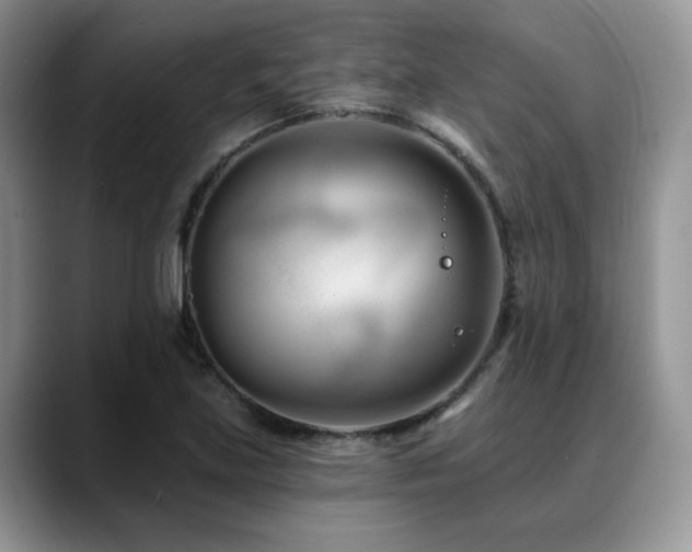 X0000088891219200706081242