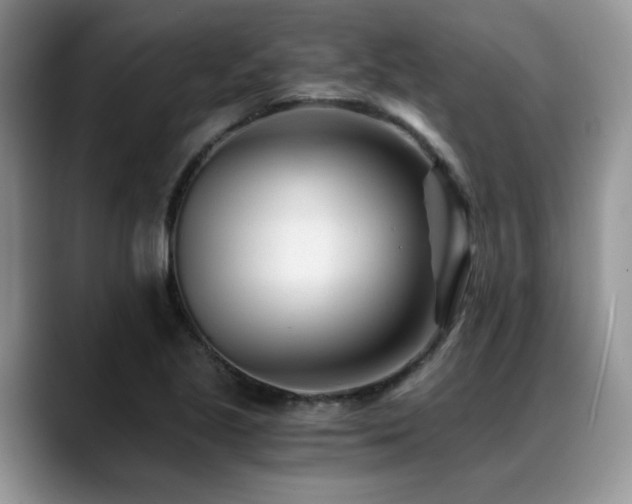 X0000088891221200706081242