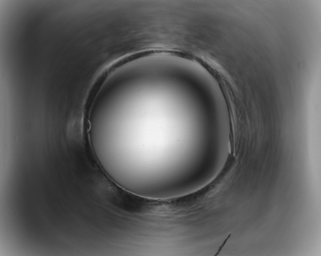 X0000088891222200706081242