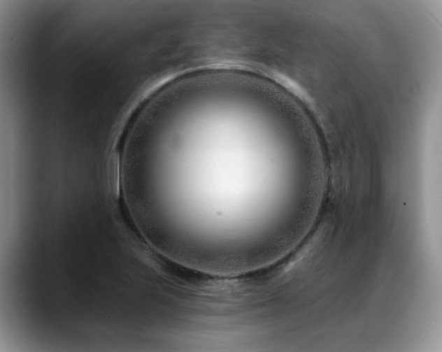 X0000088891223200706081242