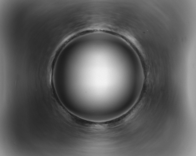 X0000088891224200706081242