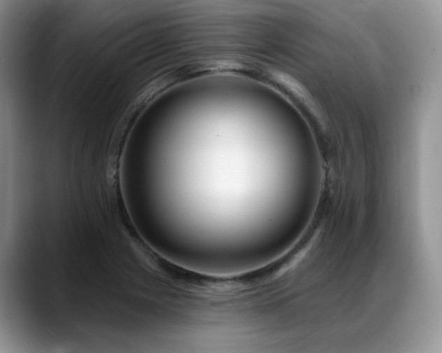 X0000088891225200706081242