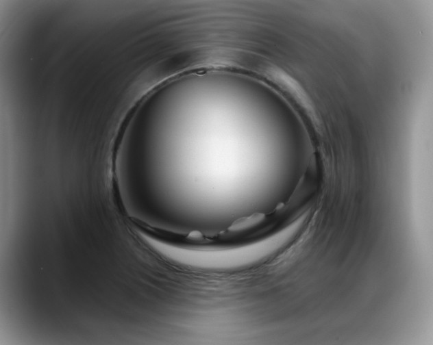 X0000088891226200706081242