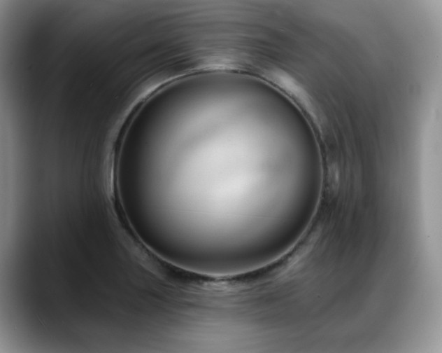 X0000088891227200706081242