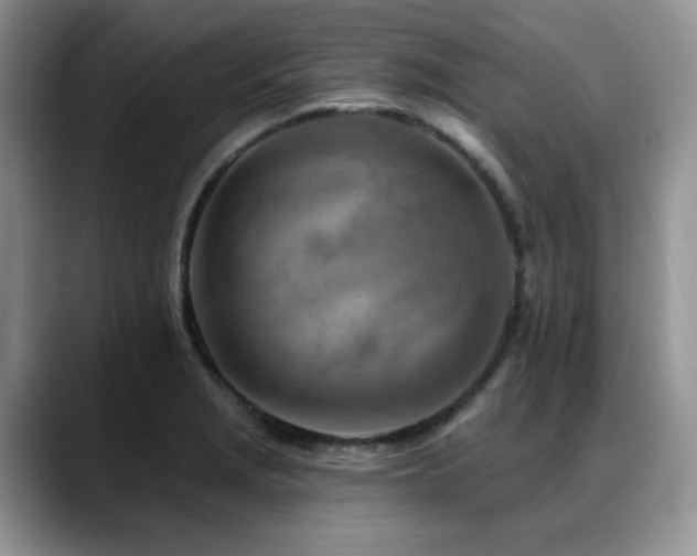 X0000088891229200706081242