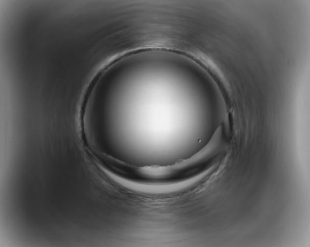 X0000088891230200706081242