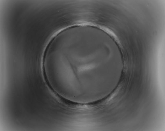 X0000088891231200706081242