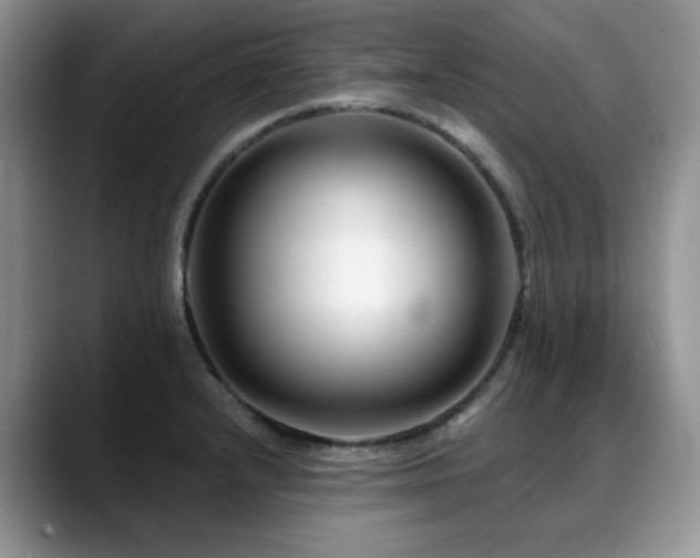 X0000088891232200706081242