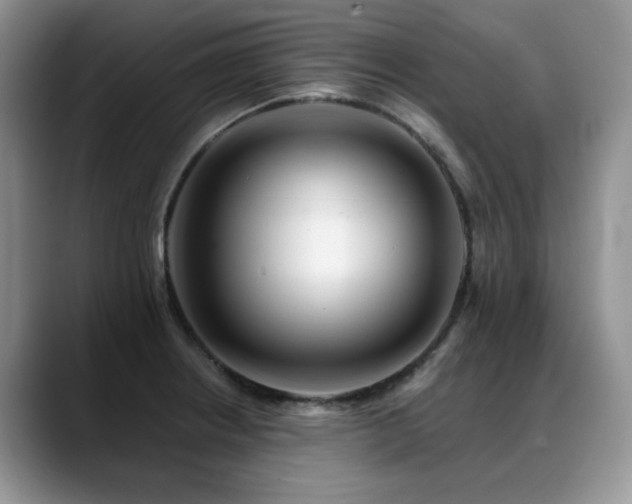 X0000088891234200706081242