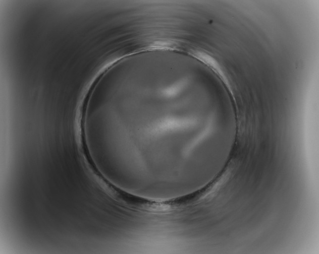 X0000088891235200706081242