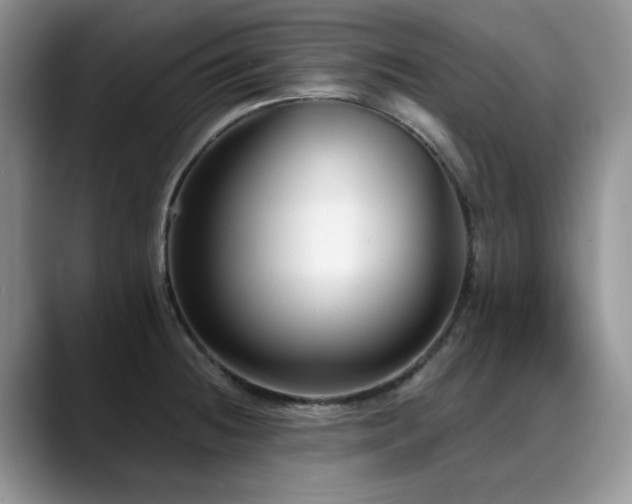 X0000088891236200706081242