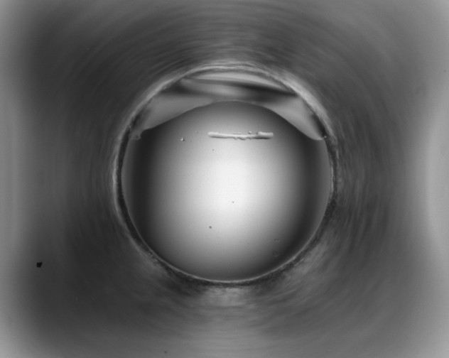 X0000088891237200706081242