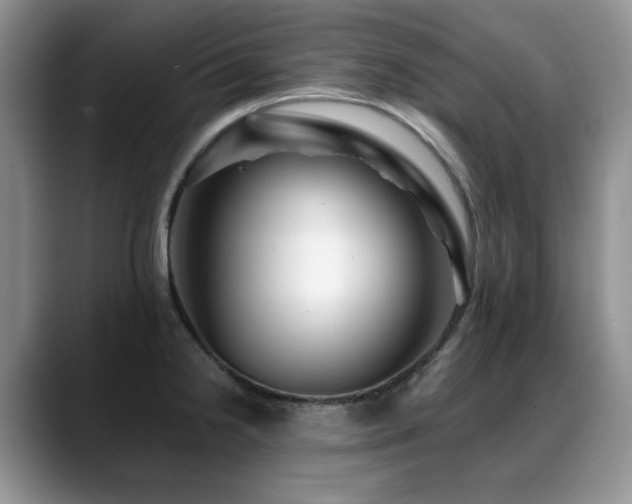 X0000088891238200706081242