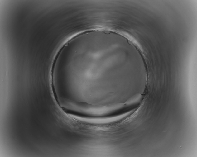X0000088891239200706081242