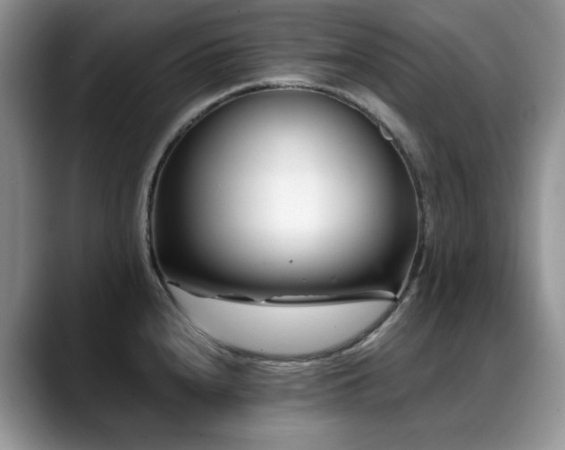 X0000088891240200706081242