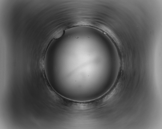 X0000088891241200706081242