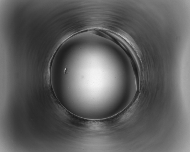 X0000088891242200706081242