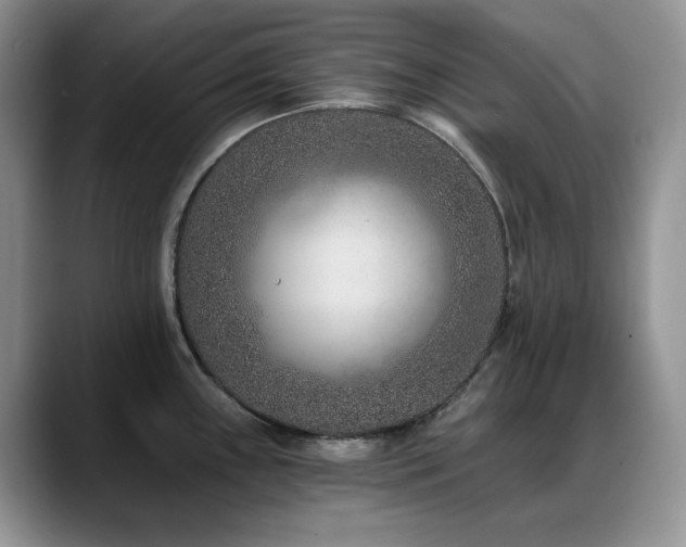 X0000088891243200706081242
