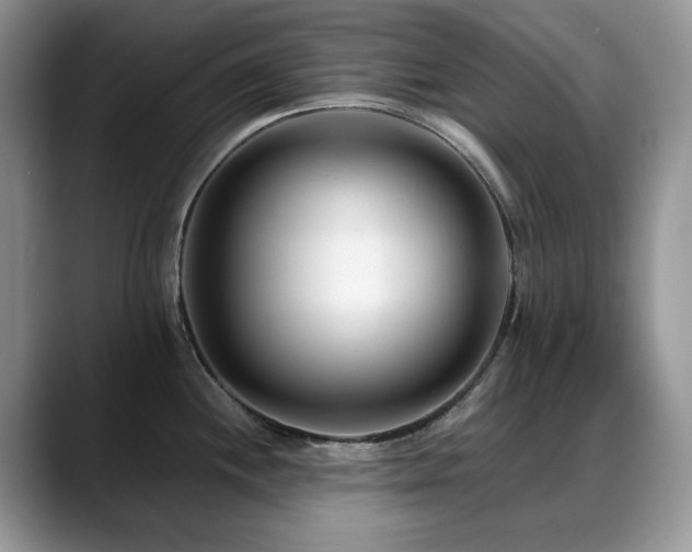 X0000088891244200706081242