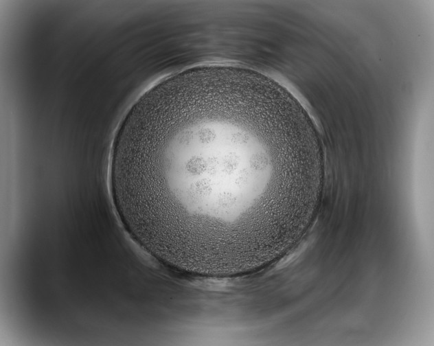 X0000088891245200706081242
