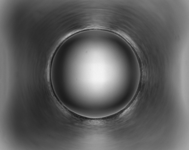 X0000088891246200706081242