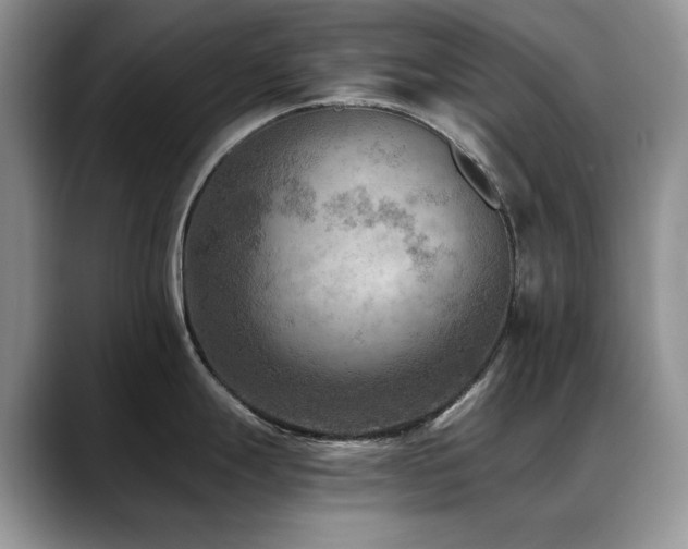 X0000088891247200706081242