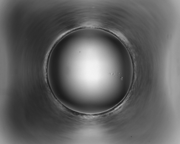 X0000088891248200706081242