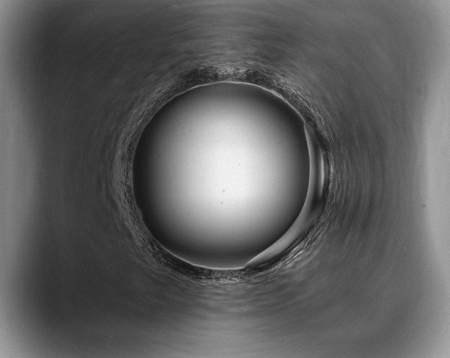 X0000088891249200706081242