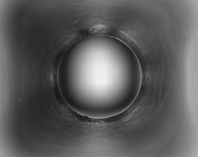 X0000088891250200706081242
