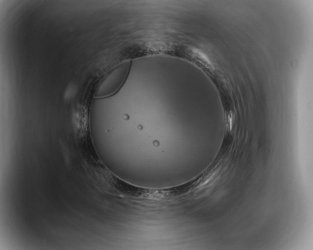 X0000088891251200706081242
