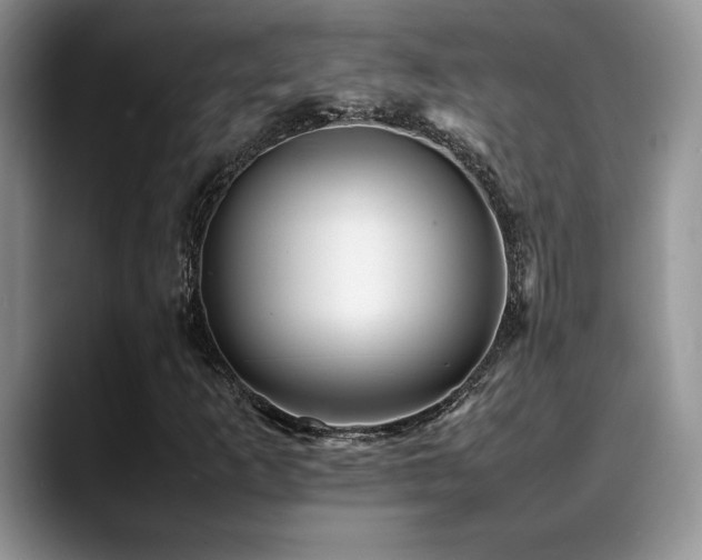 X0000088891253200706081242