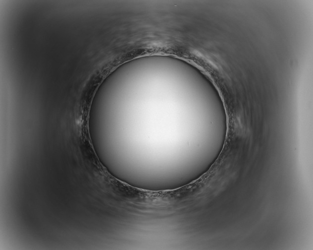 X0000088891254200706081242