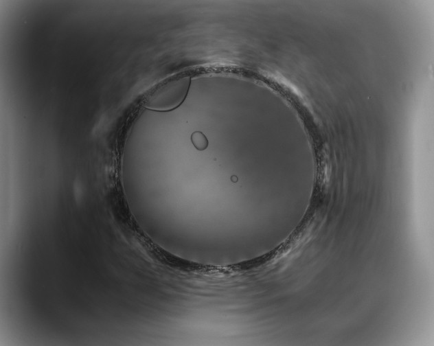 X0000088891255200706081241