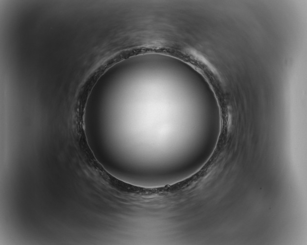 X0000088891256200706081241