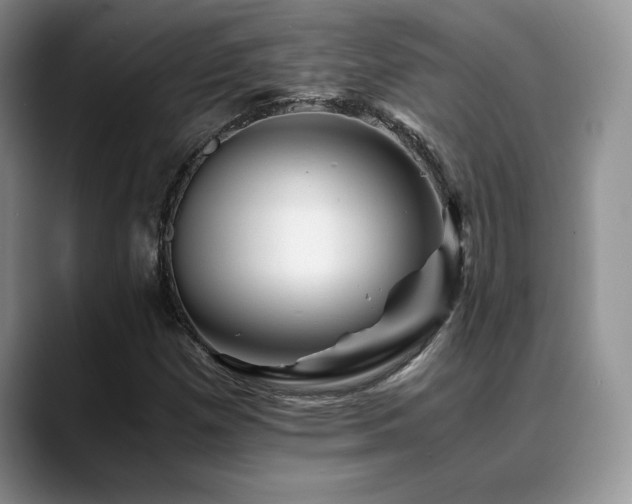 X0000088891257200706081241