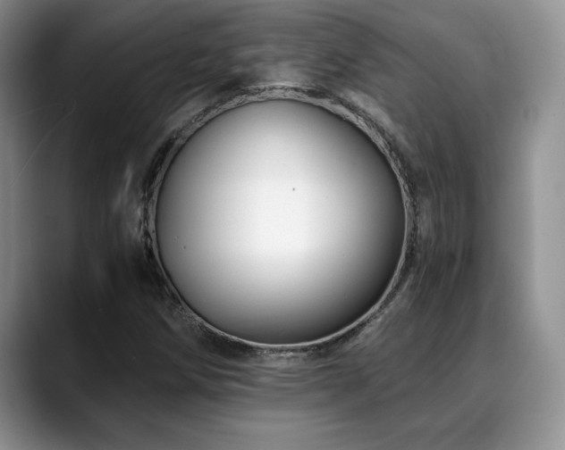 X0000088891258200706081241