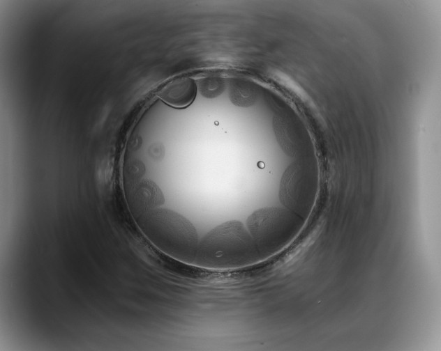 X0000088891259200706081241