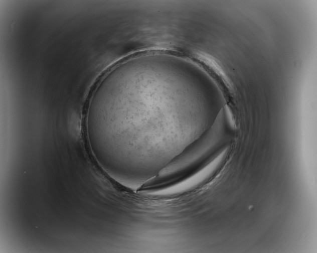 X0000088891260200706081241