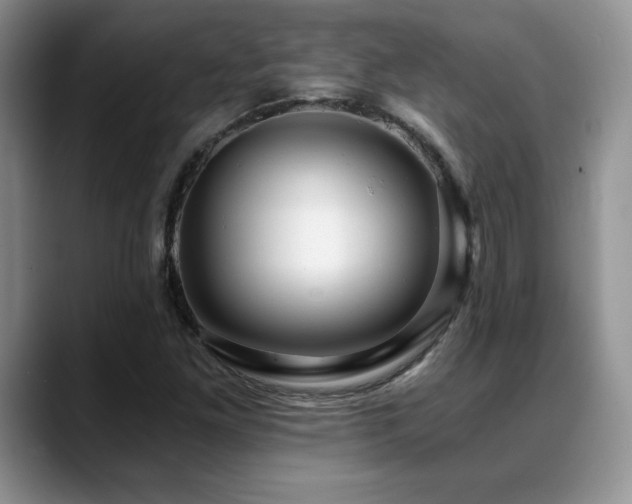 X0000088891261200706081241