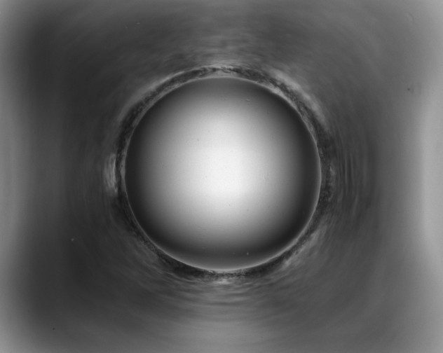 X0000088891262200706081241