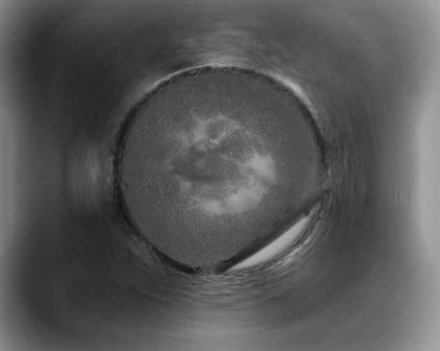 X0000088891263200706081241