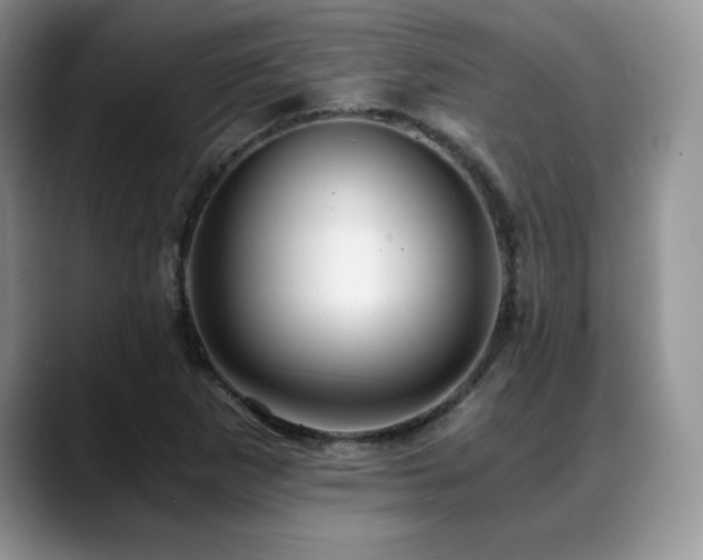X0000088891265200706081241