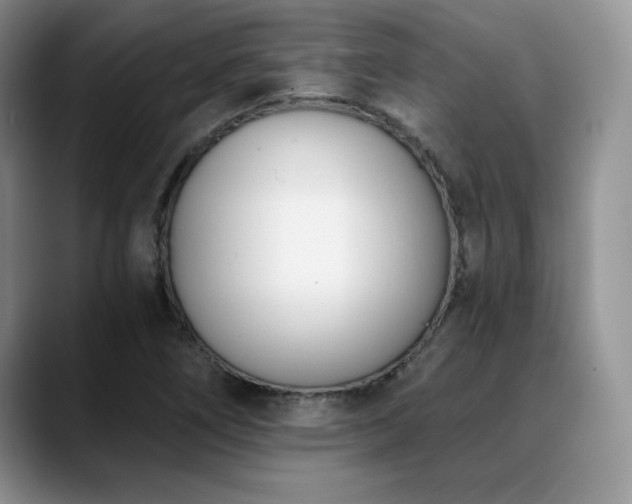 X0000088891266200706081241