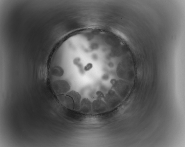 X0000088891267200706081241