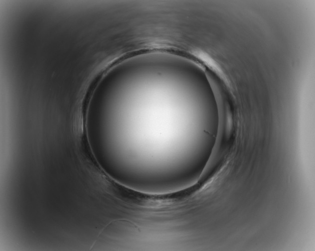 X0000088891269200706081241